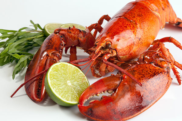 fresh lobster served in the Maritime provinces