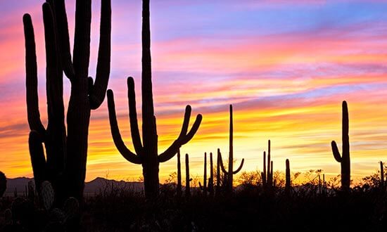 Tucson Sunset in Arizona