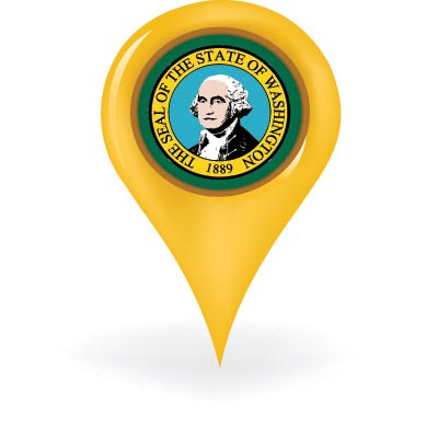 Washington State Map Pin