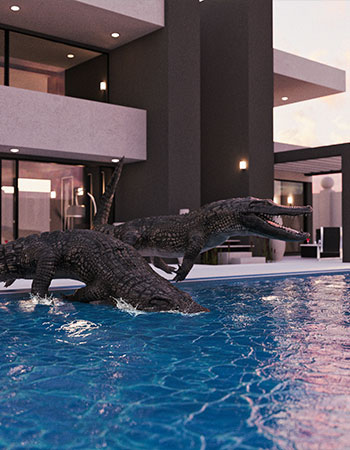 alligator statues diving in a pool