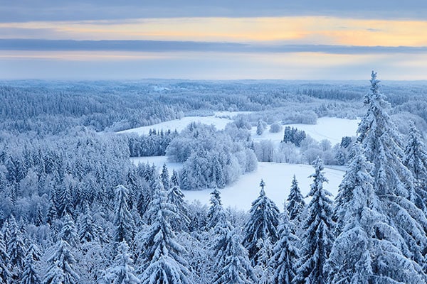 winter in Estonia