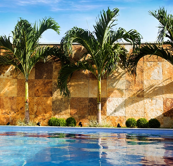 Ponta Negra Beach Experience