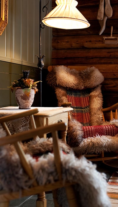 Erzscheidergården furry chairs