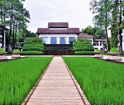 Tawa Ravadee Resort Rice Field