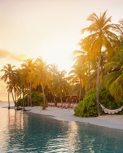 Hammock on Exotic Beach at Sunset